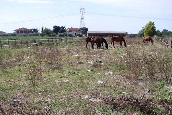 Il terreno