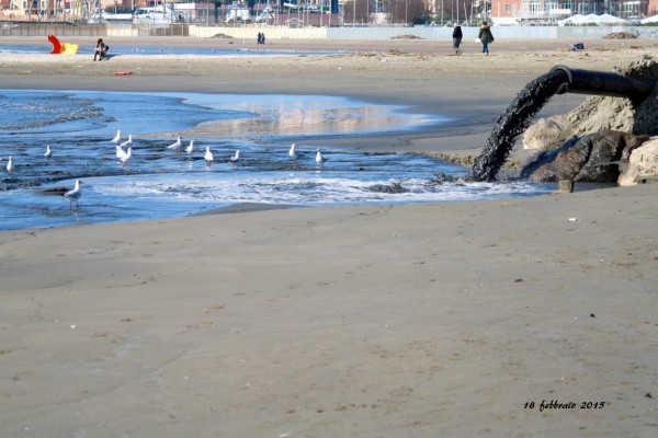 mare nettuno 3