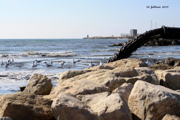 mare nettuno