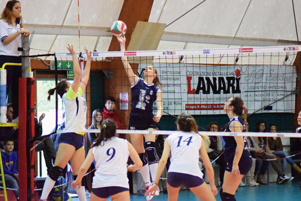 seried-newvolley-ritorno