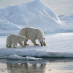 Artico: effetto serra anche in Inverno