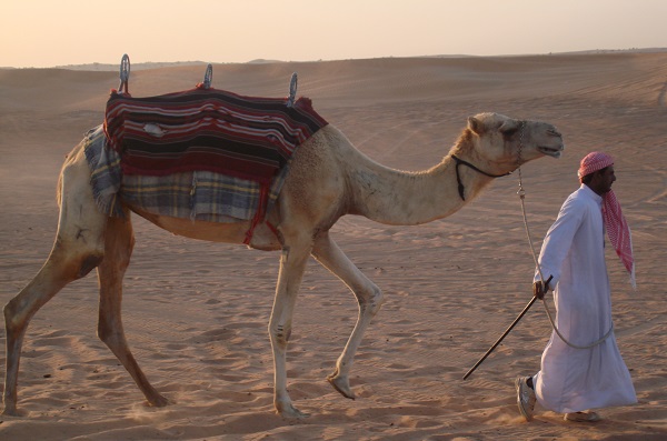 Desert Safari Dubai