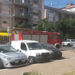 Ramo pericolante al Parco degli Alpini