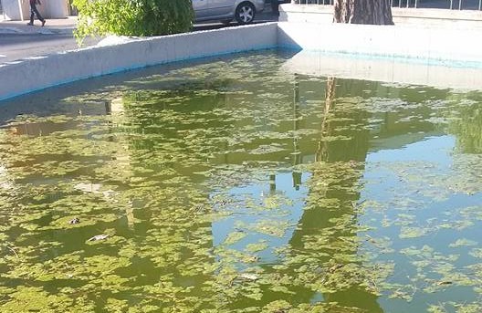 Fontana Piazza Roma. Foto di Gens Apriliana