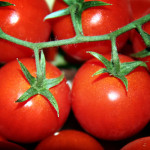 Truffa da 360mila euro in…pomodori