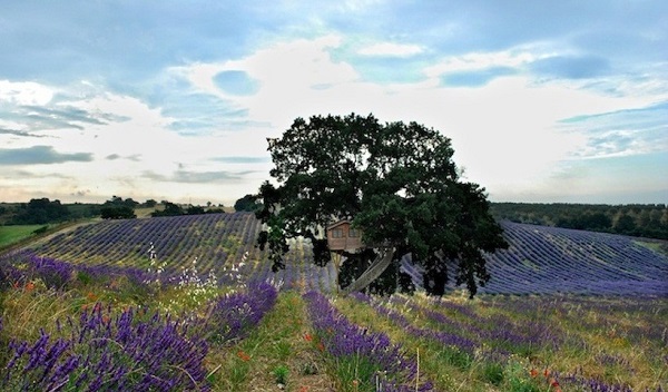 La Piantata