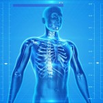 Osteoporosi, la cura nelle cellule staminali