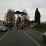 Incidente sulla Nettunense: due feriti