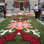 L’Infiorata da record ha bisogno delle braccia della città