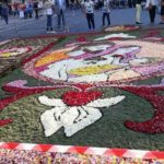 I fiori protagonisti all’apertura di San Michele