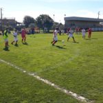 Gazzetta Cup con Ringo: grande successo per il torneo giovanile di Borgo S. Donato