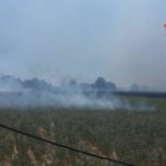 Vasto incendio a Selciatella, minacciate abitazioni