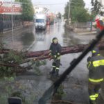 Caduto un albero sulla Nettunense, danneggiata una condotta di gas a Campoleone