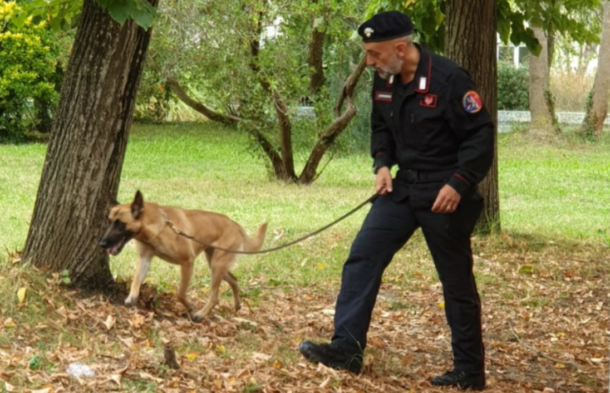 carabinieri unità cinofila hashish