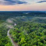 #SavetheAmazon, a Latina la raccolta fondi in soccorso dell’Amazzonia.