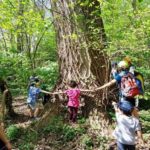 La Tenuta Calissoni Bulgari aderisce alla Giornata Mondiale dell’Albero.