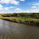 Ambiente: ok a piano e regolamento della riserva naturale statale litorale Romano.