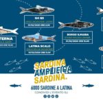 Le Sardine sbarcano nella Provincia di Latina: tappa ad Aprilia.