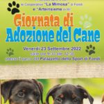 Il Comune di Fondi celebra la Giornata Mondiale del Cane adottato.