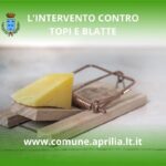 Intervento contro topi e blatte rinviato per maltempo.