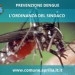 Zanzara Dengue, dopo due casi, l’ordinanza del Sindaco.