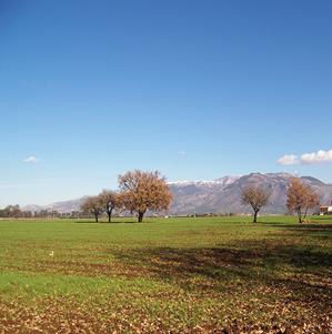 Cisterna di Latina